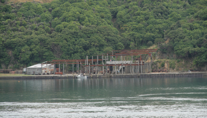 Colour photo of the remains of the Perano Whaling Station in the Tory Channel, Marlborough Sounds.