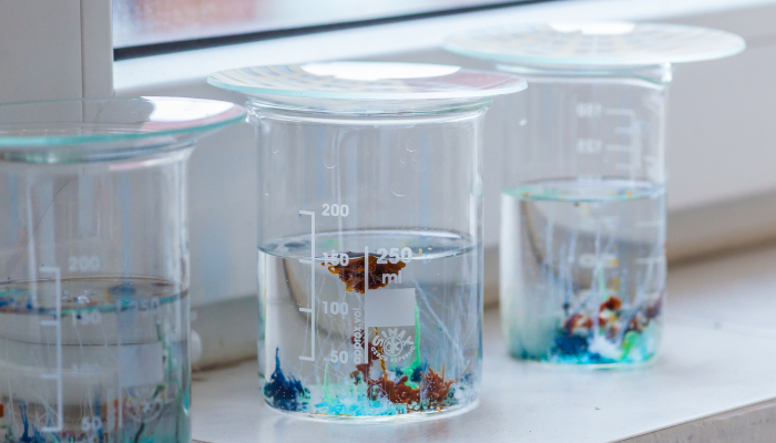 Colour photo of three beakers on a windowsill. Each beaker has a chemical garden, an experiment where metal salts are added to a waterglass.