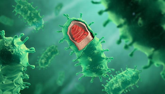 Image: Rabies virus structure (https://commons.wikimedia.org/wiki/File:Rabies_virus_structure.jpg/) by     www.scientificanimations.com/wiki-images/ on Wikimedia Commons. CC BY-SA 4.0 (https://creativecommons.org/licenses/by-sa/4.0/). Image cropped.
