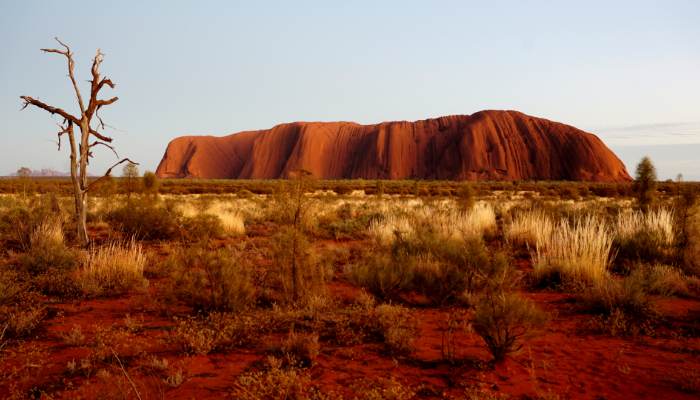 Image: Uluru at sunrise June 2016 (https://commons.wikimedia.org/wiki/File:Uluru_at_sunrise_June_2016.jpg) by BradfullerOz on Wikimedia Commons. CC BY-SA 4.0 (https://creativecommons.org/licenses/by-sa/4.0/deed.en). Image Cropped.
