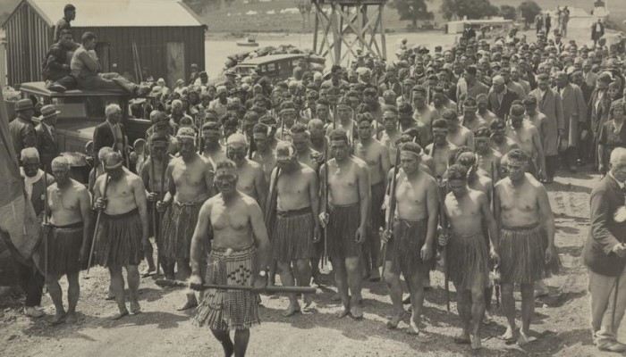 Image: Waitangi celebrations (https://hocken.recollect.co.nz/nodes/view/55437) by Tudor Washington Collins on Hocken Digital Collections.
