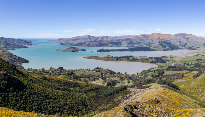 Colour photo of the view of Lyttleton Harbour | Whakaraupō from Mt Ada in the Port Hills of Canterbury.