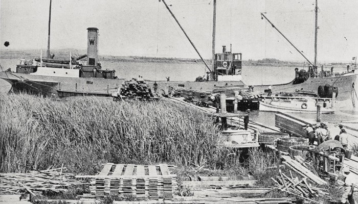 Black and white photo of the motorship port Waikato loading white pine at Dargaville, North Auckland, for Sydney. 