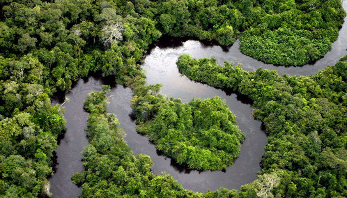 Colour photo showing an aerial view of a river in the Amazon rainforest. the river is curving through the dense forest.
