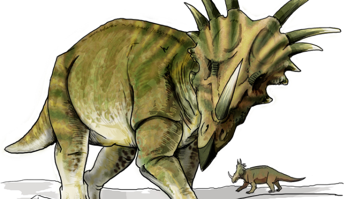 Image: Styracosaurus dinosaur (https://commons.wikimedia.org/wiki/File:Styracosaurus_dinosaur.png) by LadyofHats on Wikimedia Commons.