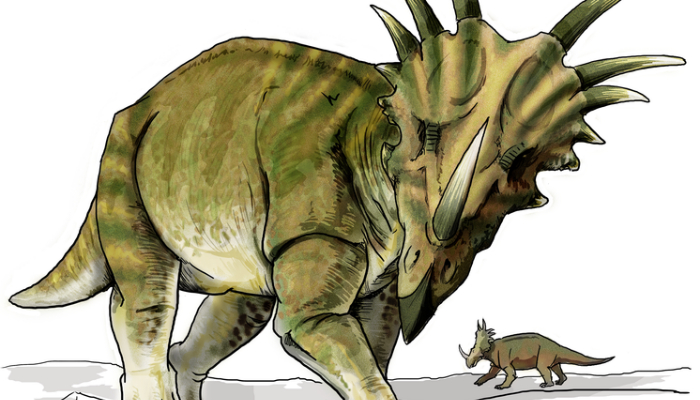 Image: Styracosaurus dinosaur (https://commons.wikimedia.org/wiki/File:Styracosaurus_dinosaur.png) by LadyofHats on Wikimedia Commons.
