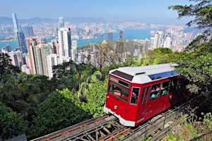 Woman on laptop with MoneySuperMarket logo displayed