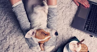 Gas and electricity bills