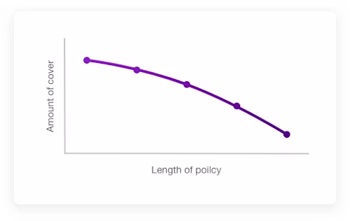 decreasing term life insurance