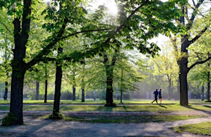 Runners in park