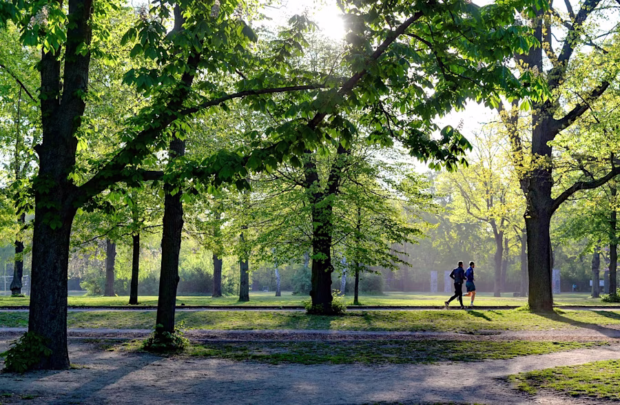 Runners in park