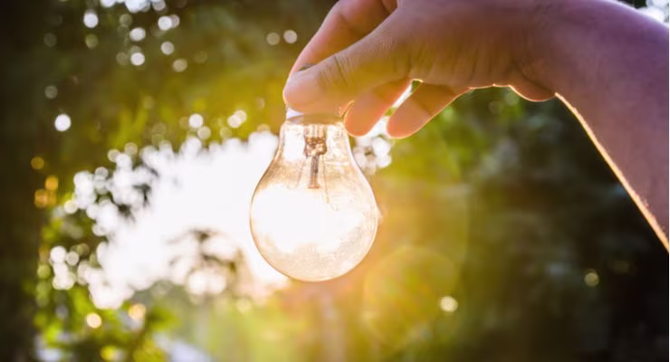 hand holding a lightbulb outside