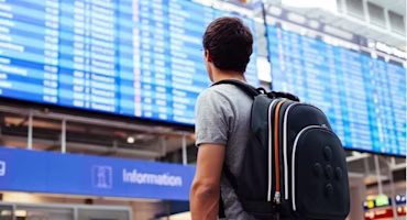 Man in airport looking at information screen 