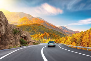 Woman on laptop with MoneySuperMarket logo displayed