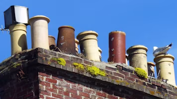 Woman on laptop with MoneySuperMarket logo displayed