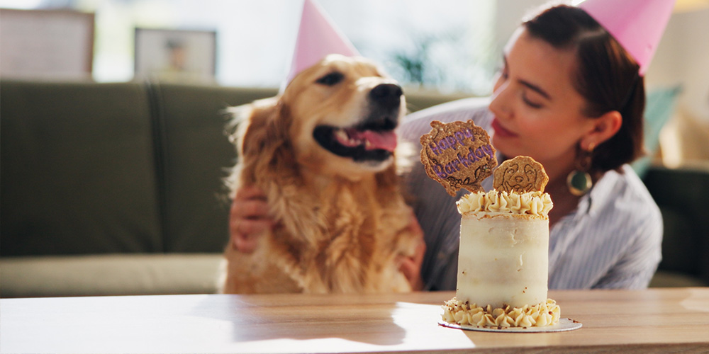 Owner and dog wearing party hats sitting in front of cake