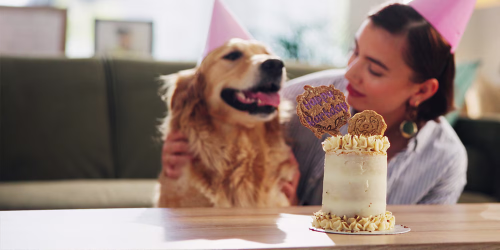 Owner and dog wearing party hats sitting in front of cake