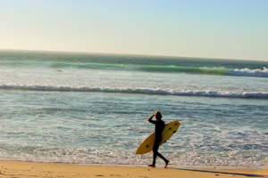 Surfer on beech