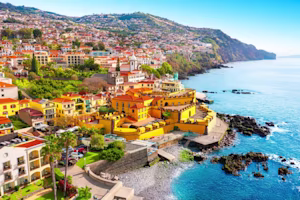 Woman on laptop with MoneySuperMarket logo displayed