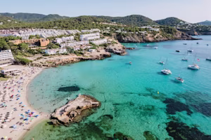 Woman on laptop with MoneySuperMarket logo displayed