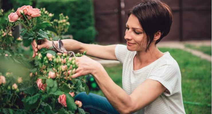 Woman gardening