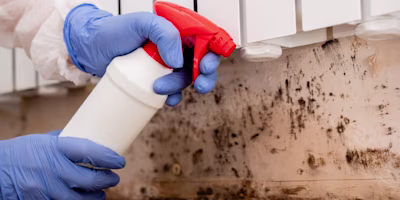 Woman on laptop with MoneySuperMarket logo displayed