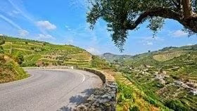 European car insurance