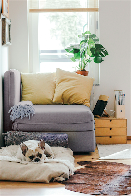 Landlord Insurance image