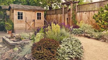 Woman on laptop with MoneySuperMarket logo displayed