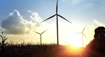 sunset and windmills