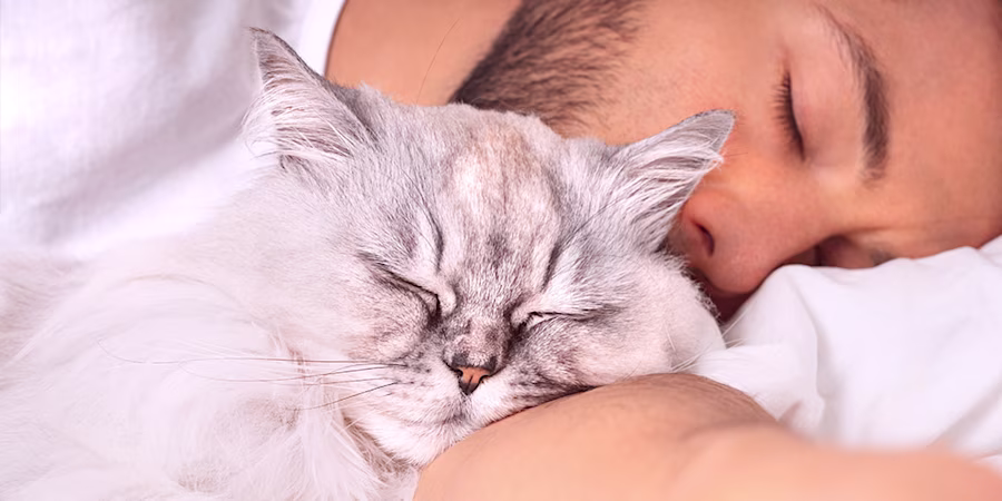 man in bed with sleeping cat