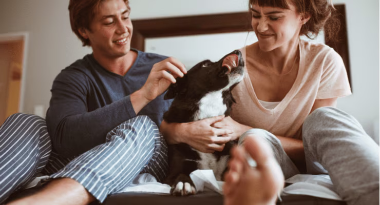 A dog sitting between a happy couple