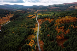 Woman on laptop with MoneySuperMarket logo displayed