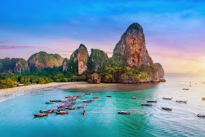 Woman on laptop with MoneySuperMarket logo displayed