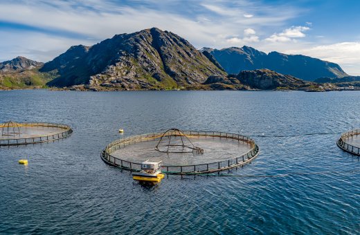 aquaculture 