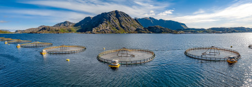 aquaculture 