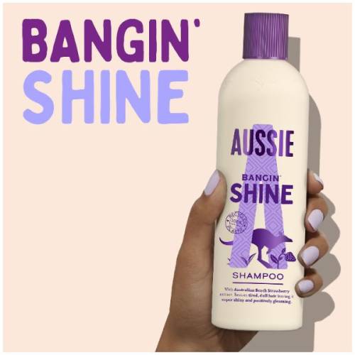 Shampoo For Dull Hair, Bangin' Shine