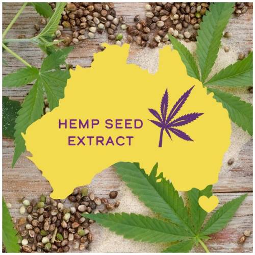 A picture of a hemp seed on a sand and contour map of Australia.