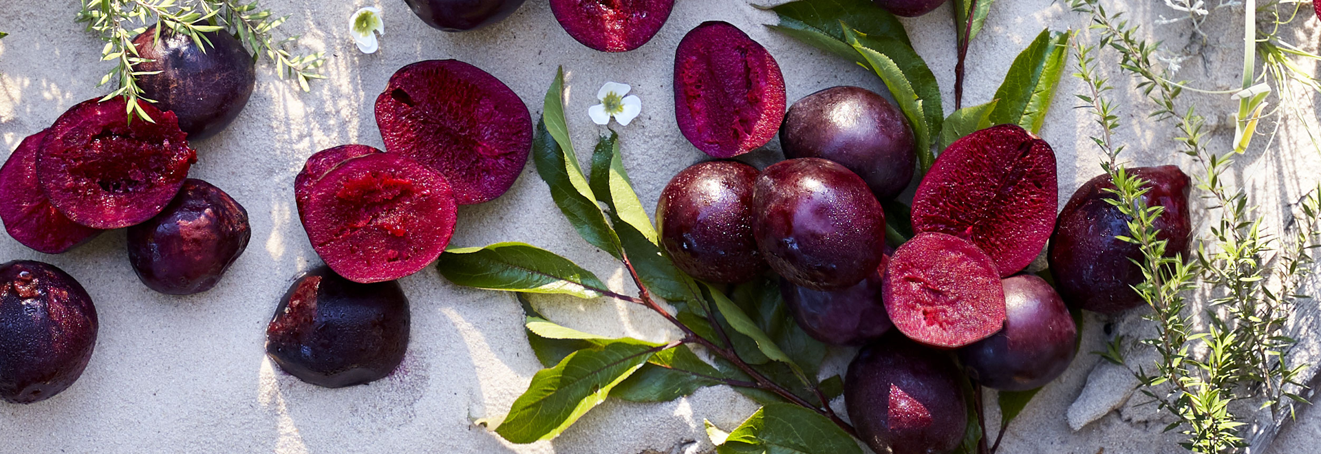 a photo of a wild plums on the beach