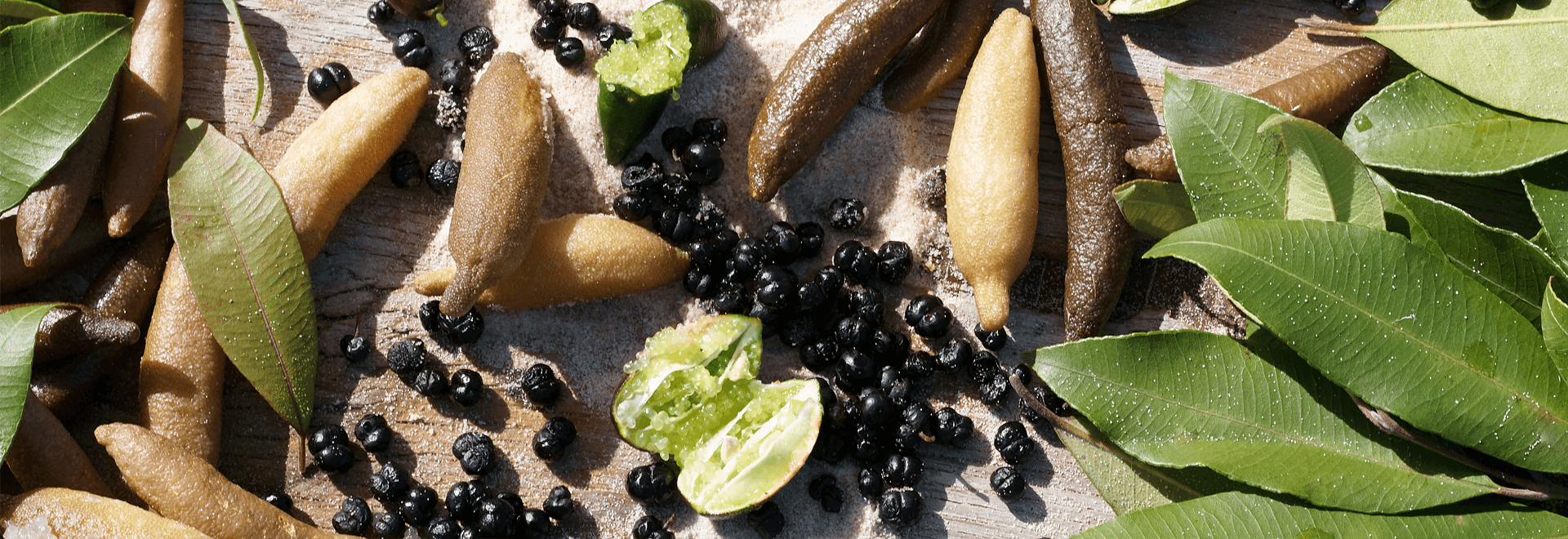 a photo of caviar lime on the beach
