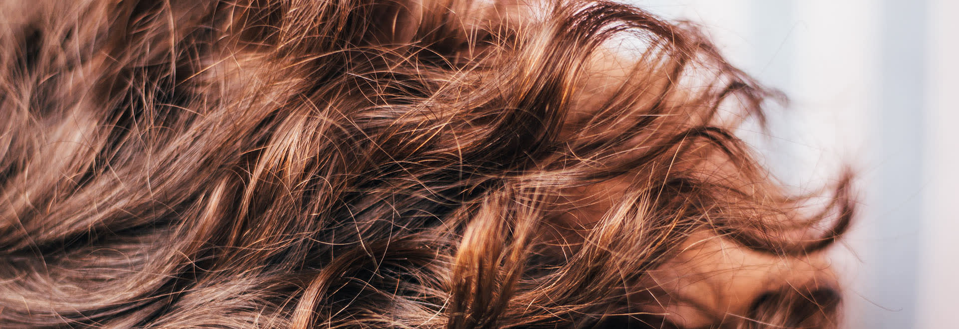A photo of red curls zoomed in