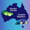 An image of Australia shape with pieces of aloes and pepperberries