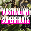 Australian Superfoods' sentence on the background with fruits and leaves