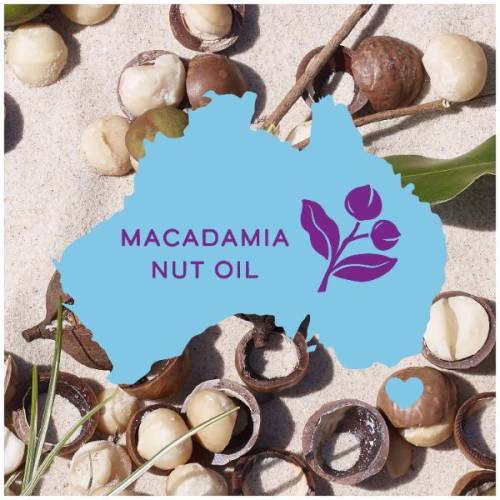 A picture of macadamia nuts on a sand and contour map of Australia.