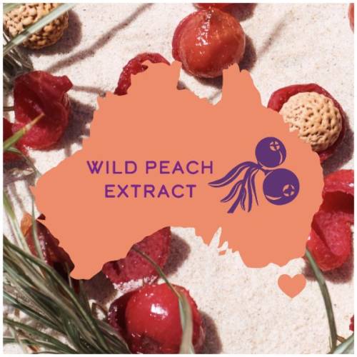 A picture of a wild peach on a sand and contour map of Australia.