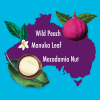 An image of Australia shape with pictures of wild peach, manuka leaf and macadamia nut