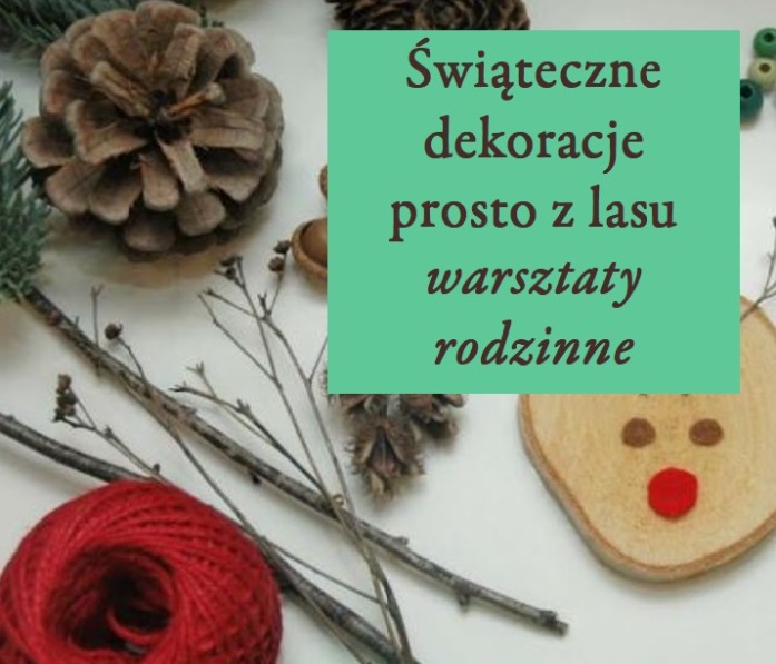 swiateczne-dekoracje-prosto-z-lasu-690a98b2-3ee0-4e24-b1cb-c43b0ecae0ff