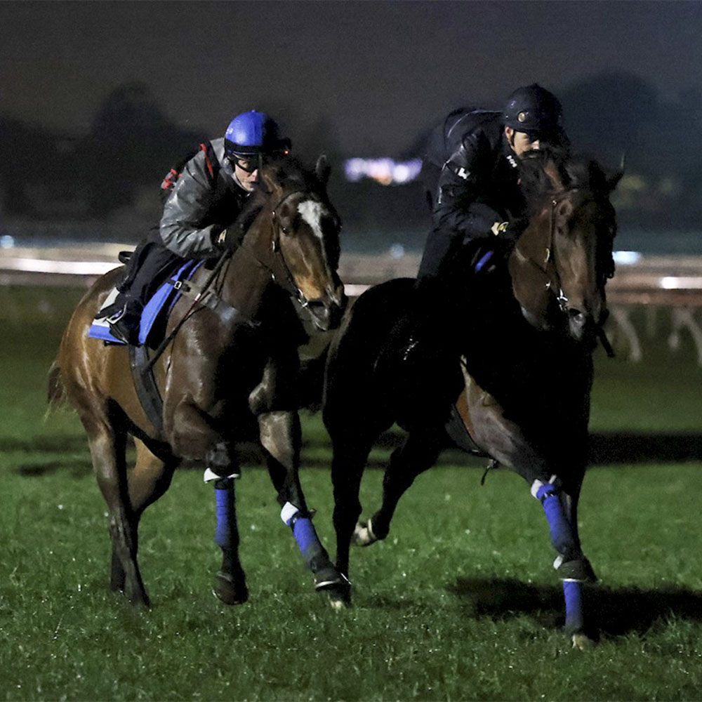 Managing Gastric Ulcers Through Nutrition