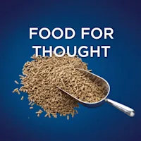 All about Barastoc Fibre-Beet Mash