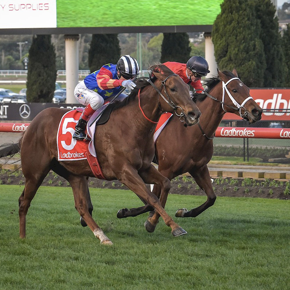 Breeding winners akin to premiership